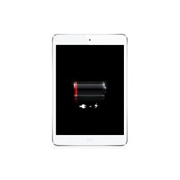 iPad mini Battery Replacement Service